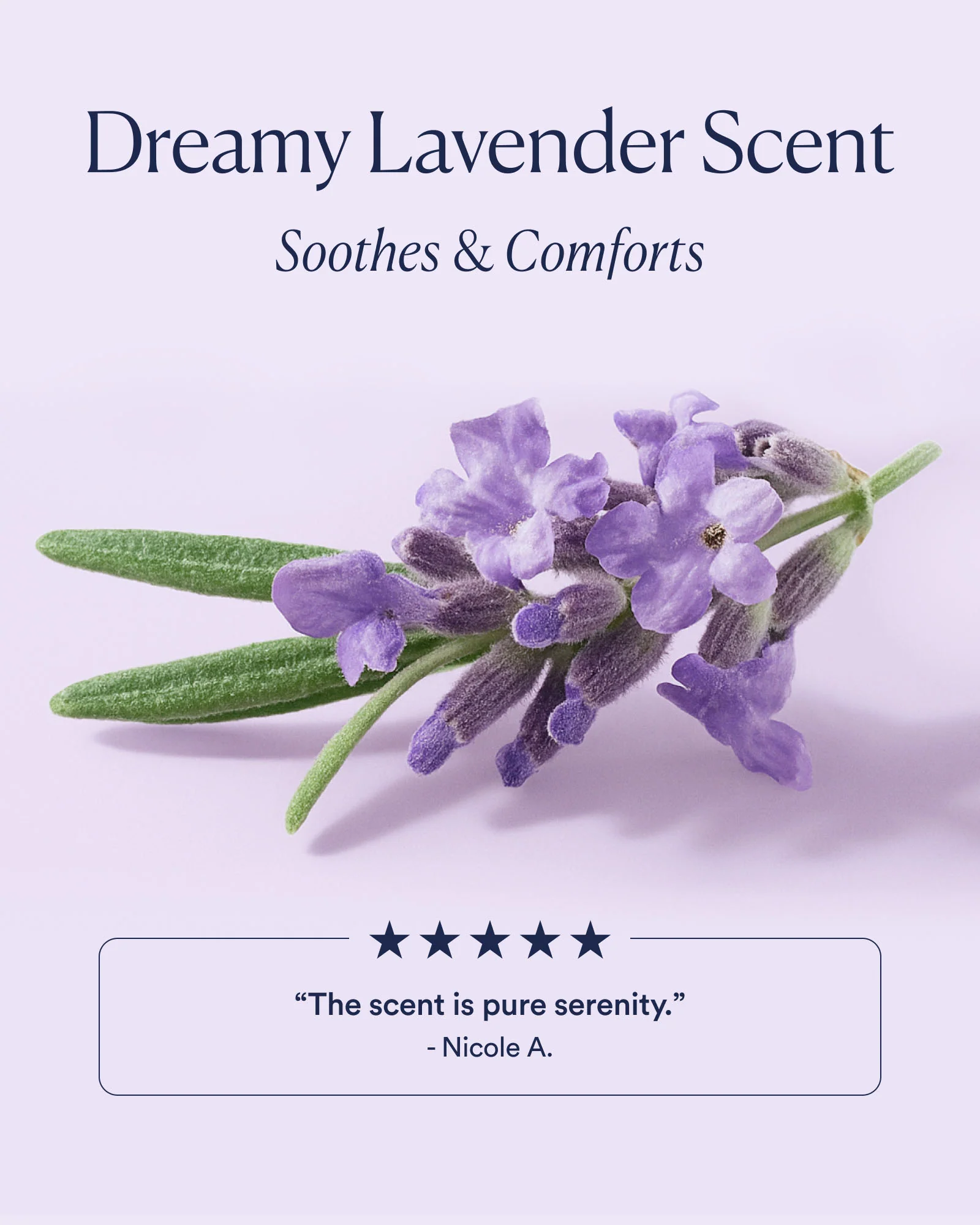 Dream Night Cream - Image 5