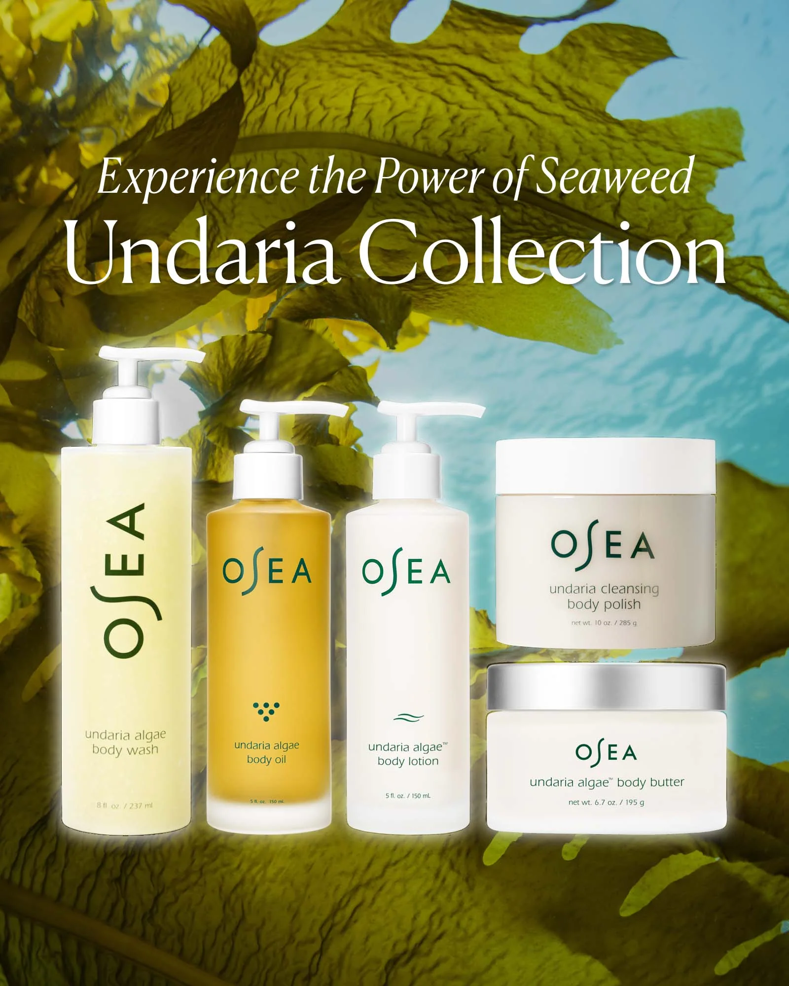 Undaria Algae™ Body Lotion - Image 7